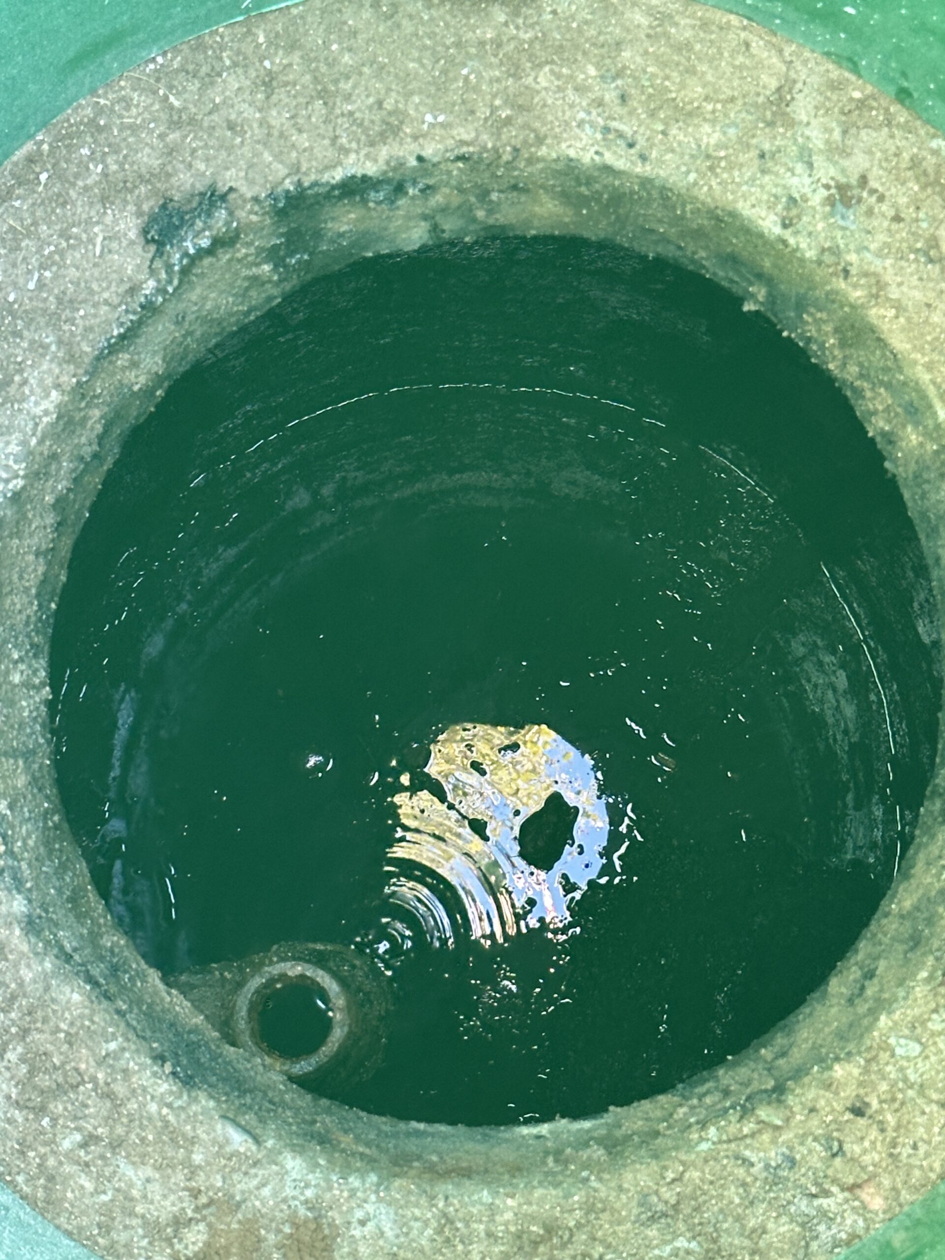 Septic tank after root intrusion cleanup, showing the tank fully cleared of roots and ready for use